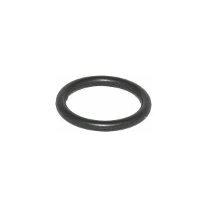 O-RING FOR H2000 SPRAY GUN
